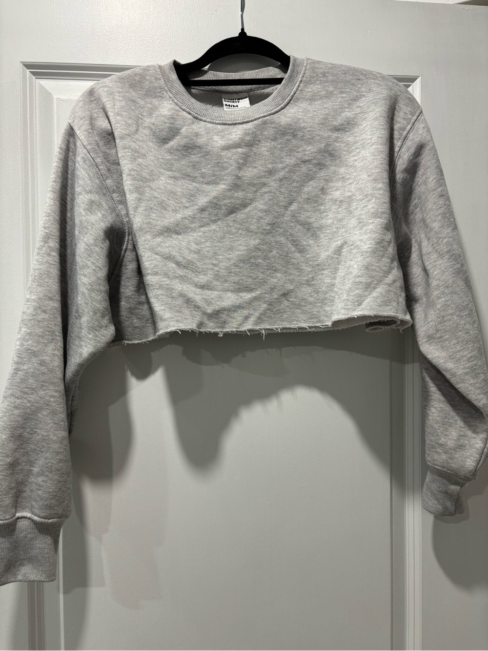 Streetwear Society Cropped Crewneck Sweatshirt - Light Gray